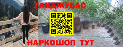 мдпв Будённовск