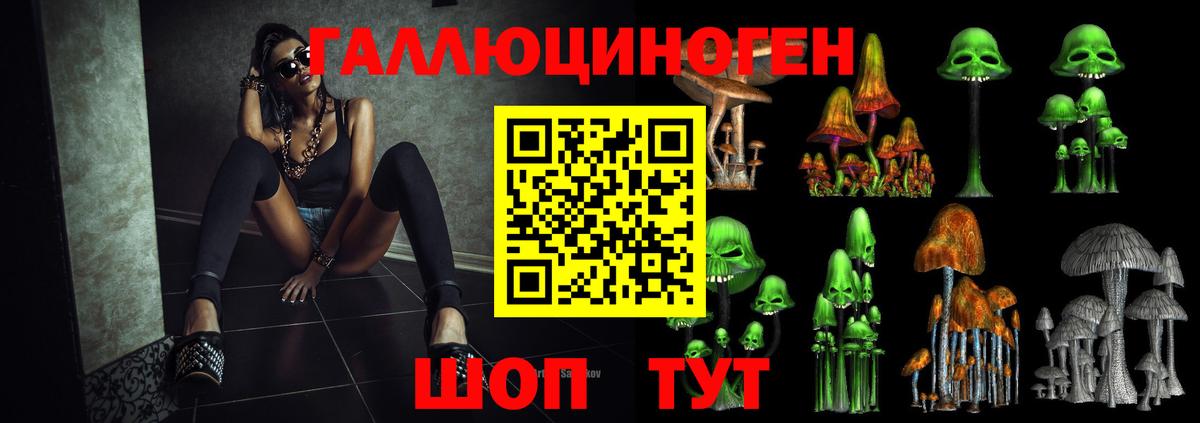 Галлюциногенные грибы Psilocybe Тюмень